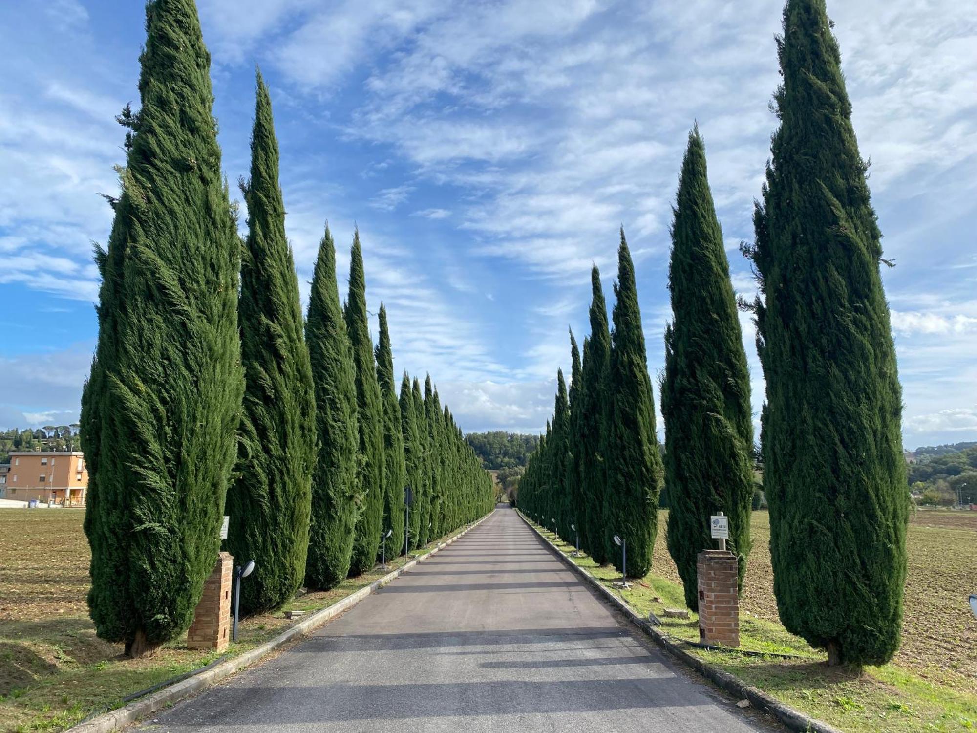 La Locanda dei Golosi Bosco  Exterior foto